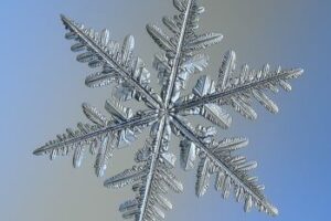 Snowflake - Flickr - Alexey Kljatov.jpg