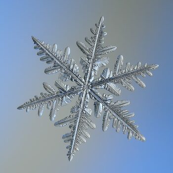 Snowflake - Flickr - Alexey Kljatov.jpg